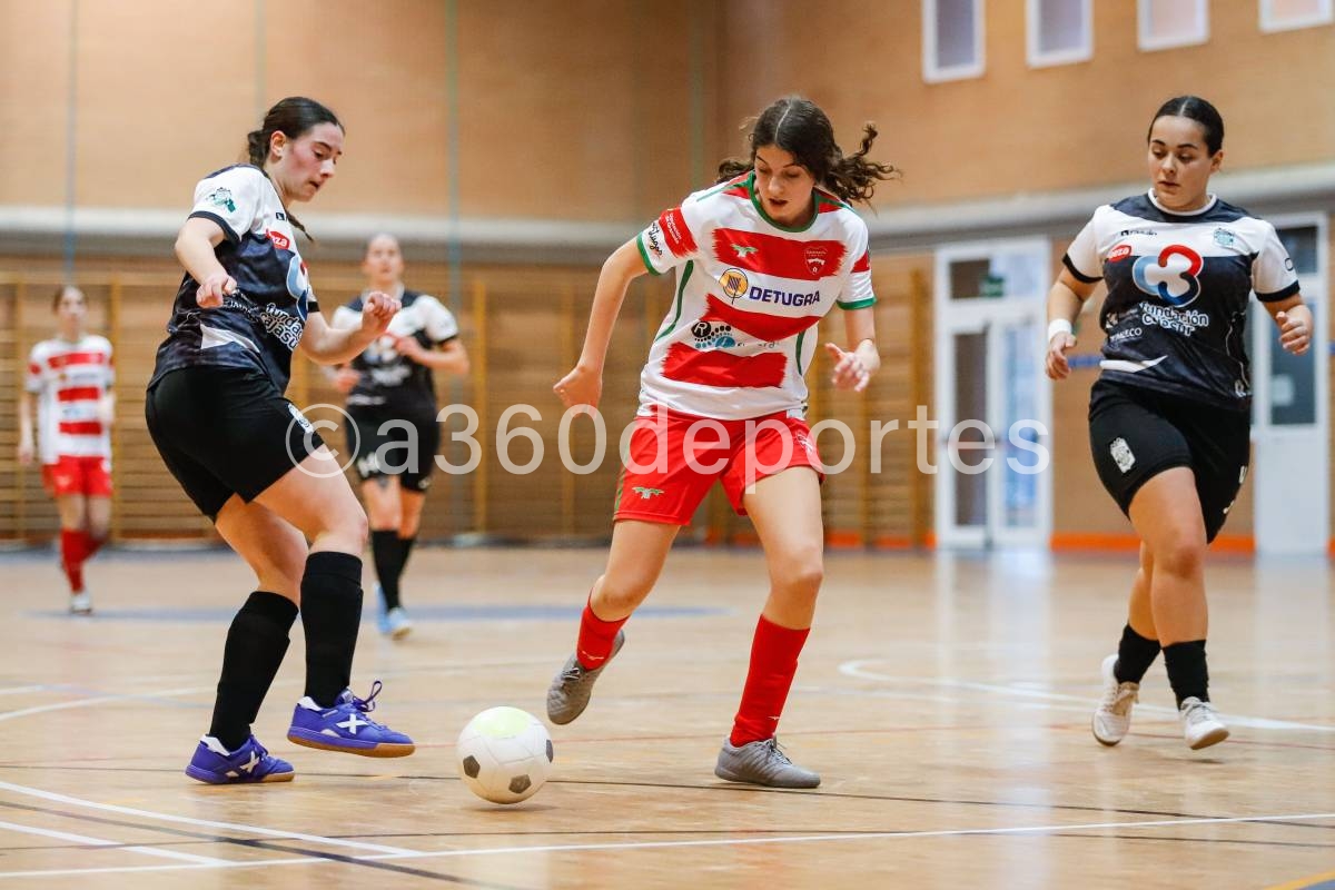 Detugra-Granada-FS-vs-Deportivo-Cordoba-Foto-Francisco-Neyra-V.-A360-Comunicacion-009
