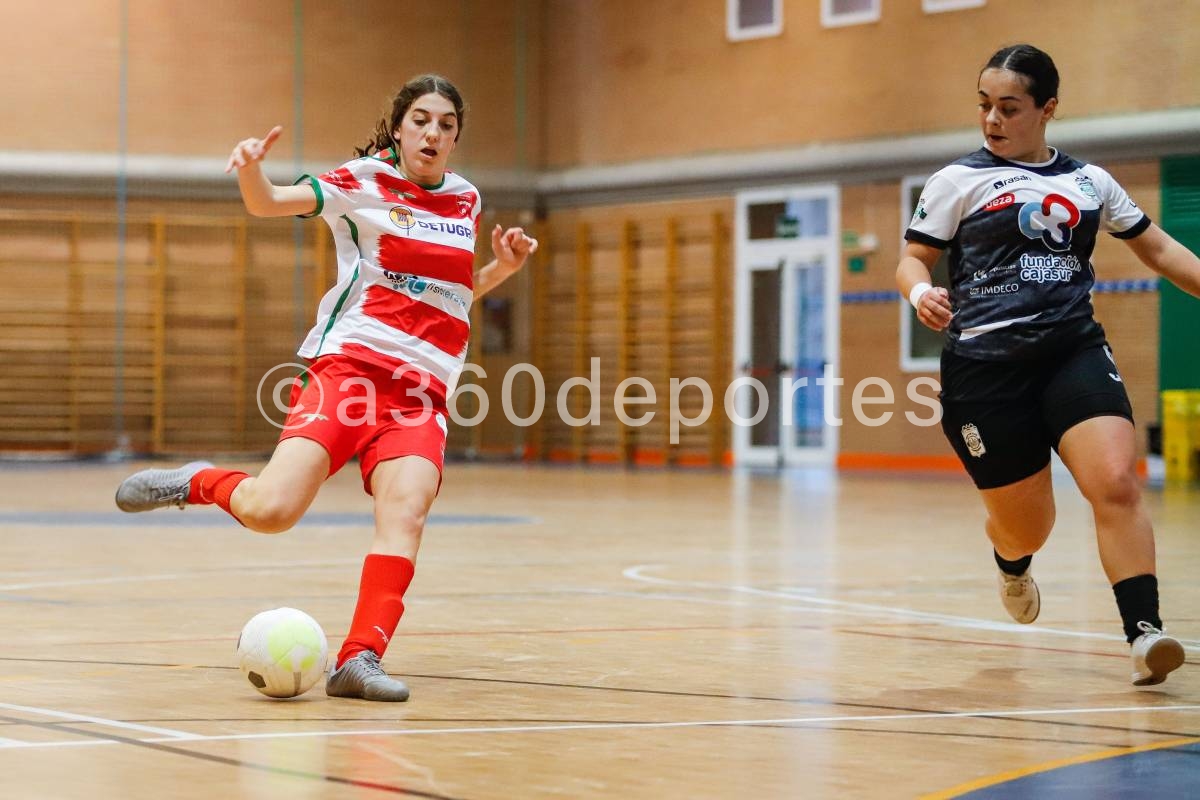 Detugra-Granada-FS-vs-Deportivo-Cordoba-Foto-Francisco-Neyra-V.-A360-Comunicacion-023