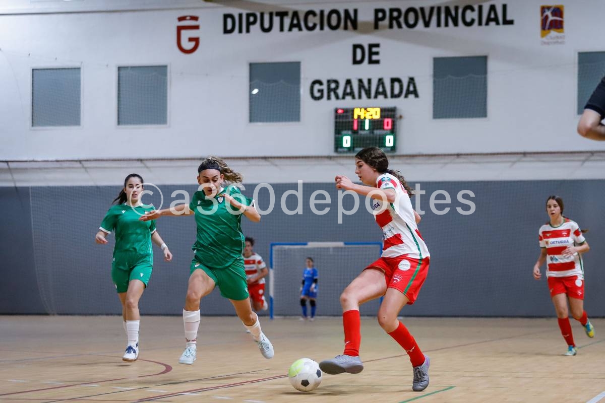 Detugra-Granada-FS-vs-Real-Jaen-CF-Foto-Francisco-Neyra-V.-A360-Comunicacion-039